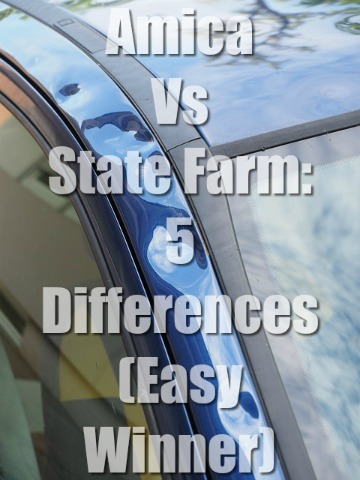 Amica Vs State Farm: 5 Differences (Easy Winner)